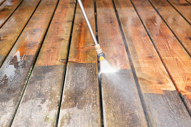 Animal Enclosure Cleaning in Friendswood, TX